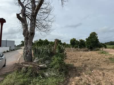 ขาย - ขายที่ดินหนองขามเขาดิน 5 ไร่ หนองยายบู่ซอย5 หลังนิคมปิ่นทอง1 ใกล้ถนน331-2กม. อ.ศรีราชา, ชลบุรี