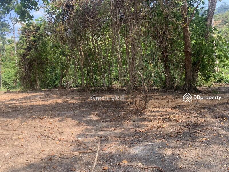 For Sale - Viewwan Paradise Village, Nakhon Nayok