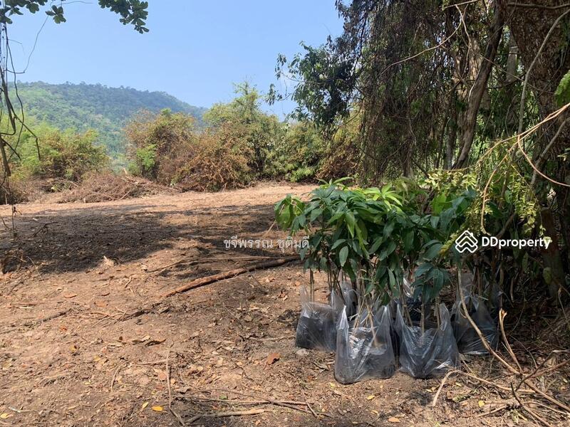 For Sale - Viewwan Paradise Village, Nakhon Nayok