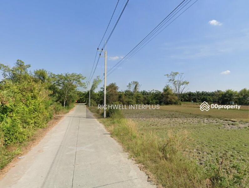 ขาย - ขายที่ดินหนองขยาด 2 ไร่ ติดถนนคอนกรีต ใกล้อบต.หนองบอนแดง-4กม. อ.พนัสนิคม, ชลบุรี