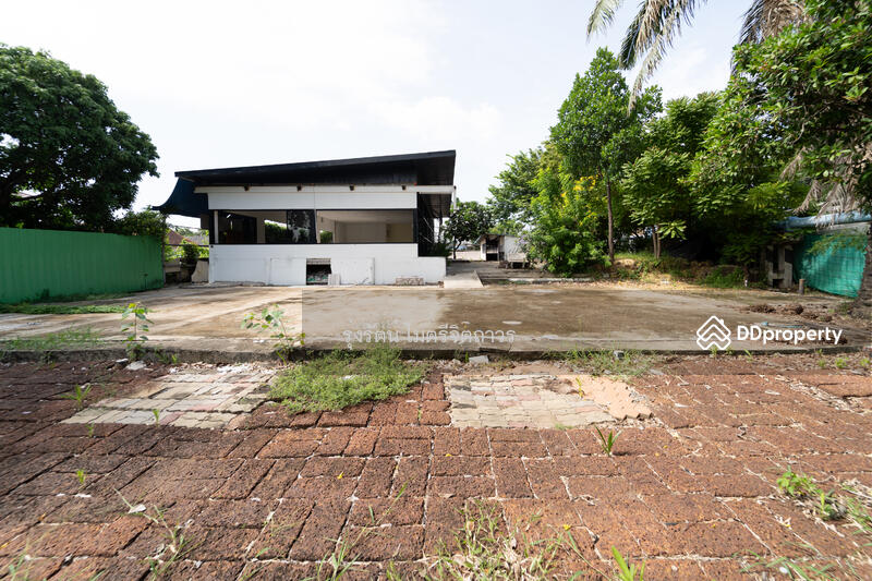 ลานปูนริมน้ำ (ทำเป็นที่นั่งทานอาหารริมน้ำได้)