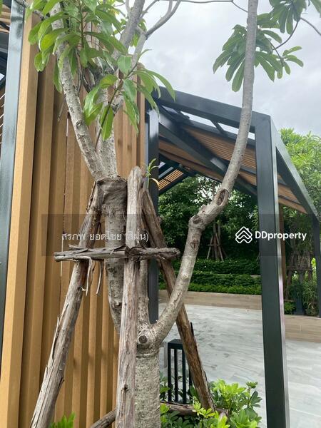 For Rent - Chapter One All Ramintra, Bangkok