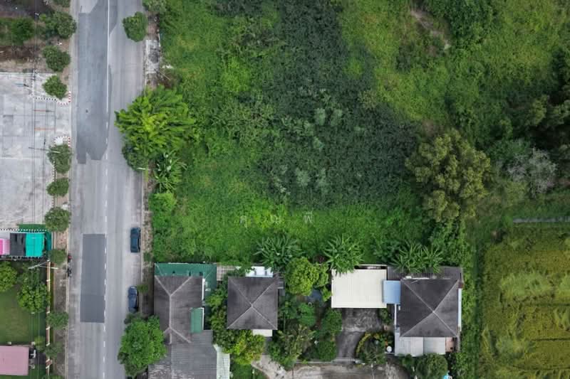 ผังเมืองสีม่วงลำลูกการาคานี้หาไม่ได้อีกแล้ว ขายที่ดินลำลูกกาซอย 71 (ใกล้วงแหวนลำลูกกา), Pathum Thani, ถนน ลำลูกกา ซอย 71, Lat Sawai, Lam Luk Ka, Pathum Thani, , 3,600 sqm, Land For Sale, by คุณพี, 60091271 - DDproperty.com