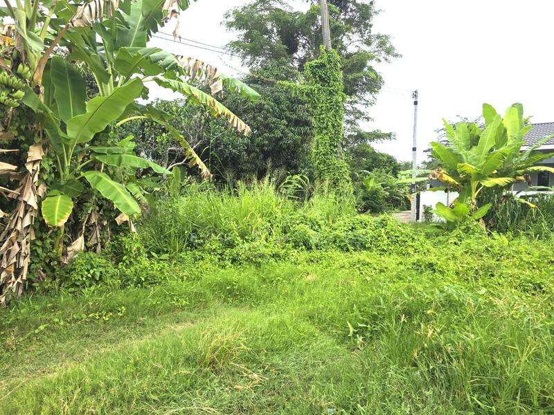 For Sale - โอกาสสุดท้าย! ขายที่ดินถมแล้ว แปลงมุม!! พัทยา ติดถนน 2 ด้าน บรรยากาศธรรมชาติ!!! ขายที่ดิน 83 ตรว., Chon Buri (Pattaya)