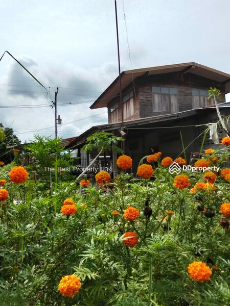 ขาย - บ้านเดี่ยวนายม อำนาจเจริญ, อำนาจเจริญ