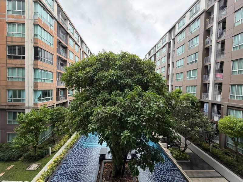 Dcondo Campus Resort Kuku, ภูเก็ต, 62 Moo 3, รัษฎา, เมืองภูเก็ต, ภูเก็ต, 60 ตร.ม., คอนโด ให้เช่า, โดย PK LIFE Property, 60091671 - DDproperty.com