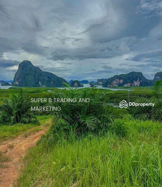 For Sale - Large land for sale, 24 rai, 2 ngan, 58 sq m, Khlong Khian, Takua Thung, Phang Nga Province, Phangnga