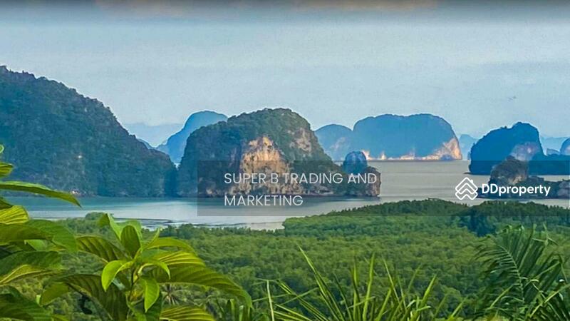 For Sale - Large land for sale, 24 rai, 2 ngan, 58 sq m, Khlong Khian, Takua Thung, Phang Nga Province, Phangnga