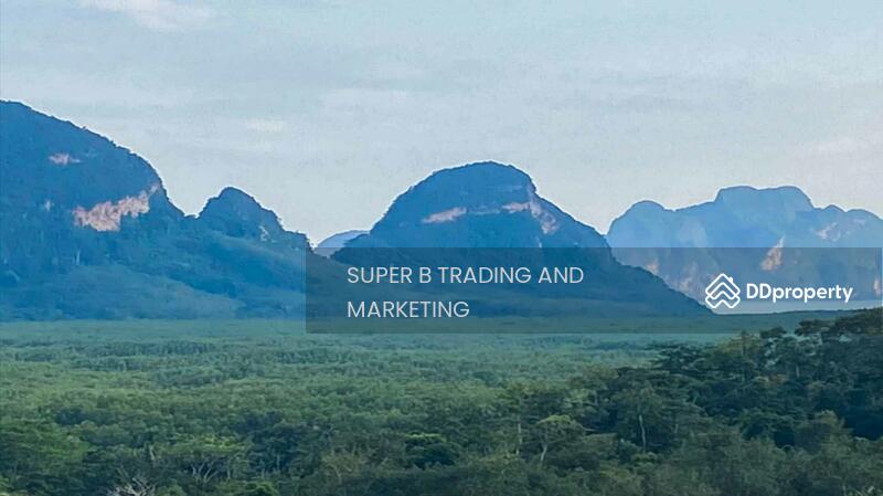 For Sale - Large land for sale, 24 rai, 2 ngan, 58 sq m, Khlong Khian, Takua Thung, Phang Nga Province, Phangnga