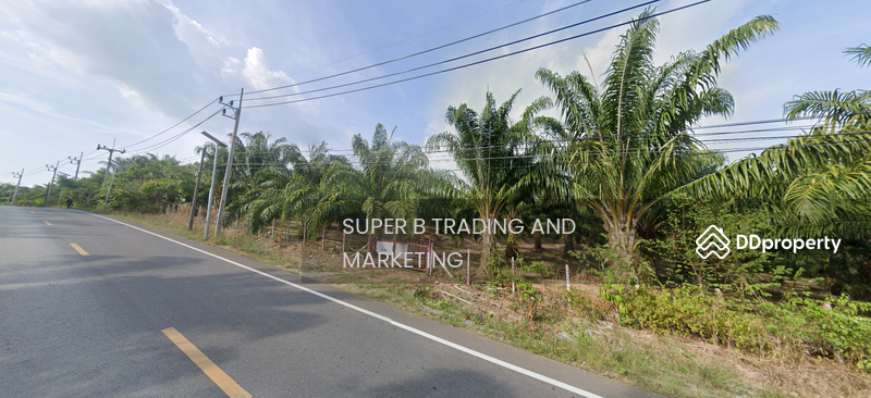 For Sale - Large land for sale, 24 rai, 2 ngan, 58 sq m, Khlong Khian, Takua Thung, Phang Nga Province, Phangnga