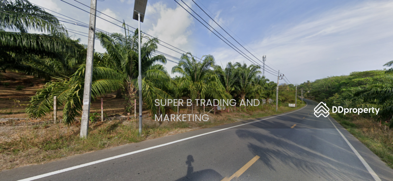 For Sale - Large land for sale, 24 rai, 2 ngan, 58 sq m, Khlong Khian, Takua Thung, Phang Nga Province, Phangnga