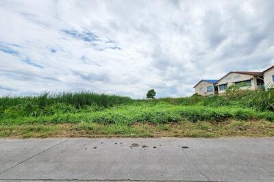 ขาย - ขายที่ดิน 2 ไร่ 3 งาน 11 ตารางวา ที่ดินแปลงใหญ่ ถนนรังสิต- นครนายก ปทุมธานี, ปทุมธานี