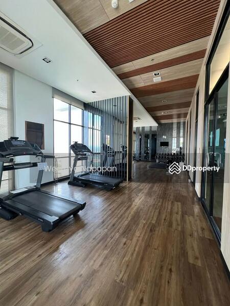 ให้เช่า - Escent Condo : เอสเซ็นท์ เชียงใหม่, เชียงใหม่