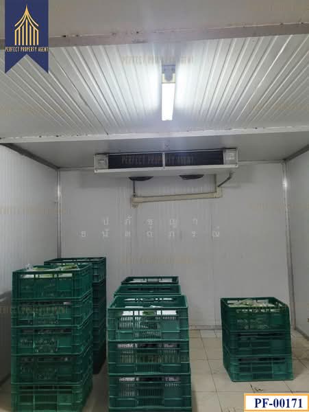 พระโขนง, Bangkok, Bang Chak, Phra Khanong, Bangkok, , 1,200 sqm, Warehouse/Factory For Sale, by ปภัชญา ธนัตถ์ภรณ์, 60093085 - DDproperty.com