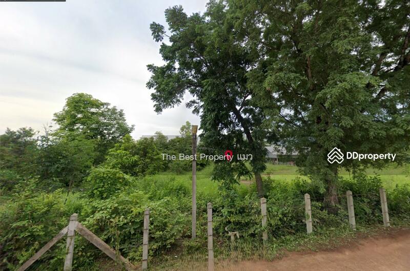 ขาย - ที่ดินนาทราย นครพนม, นครพนม