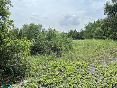 ขาย - ที่ดินเปล่า, ปทุมธานี