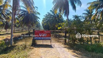 ขาย - ที่ดินบางสะพานน้อย ประจวบคีรีขันธ์, ประจวบคีรีขันธ์