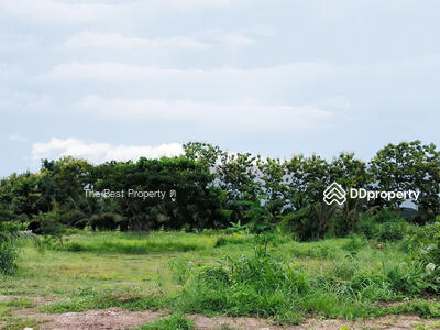 ขาย - ที่ดินหนองม่วงไข่ แพร่, แพร่