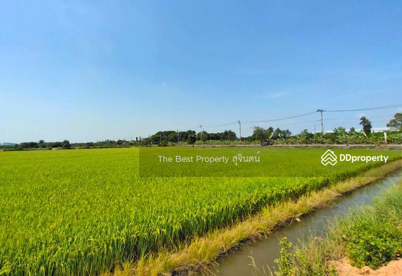 ขาย - ที่ดินไทรน้อย นนทบุรี, นนทบุรี