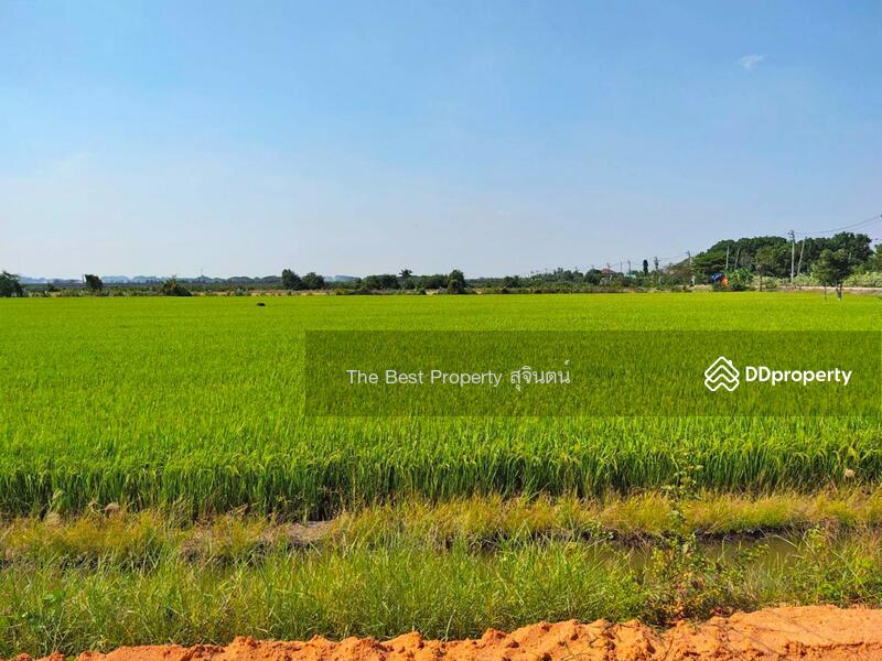 ขาย - ที่ดินไทรน้อย นนทบุรี, นนทบุรี