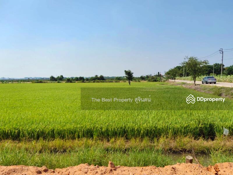 ขาย - ที่ดินไทรน้อย นนทบุรี, นนทบุรี