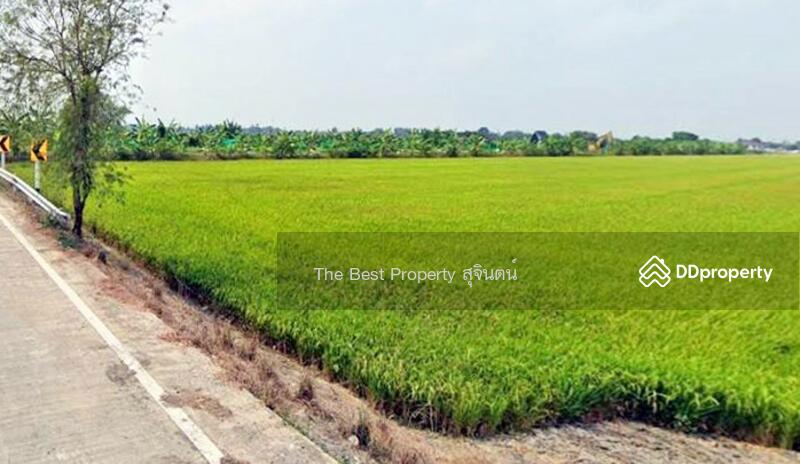 ขาย - ที่ดินไทรน้อย นนทบุรี, นนทบุรี