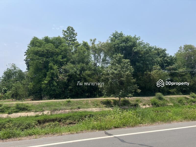 For Sale - Canal-Front Land Parcel, Chiang Mai