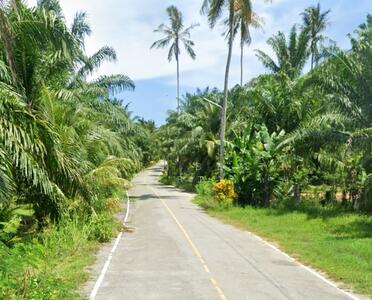 ขาย - ที่ดินอ่าวลึก กระบี่, กระบี่