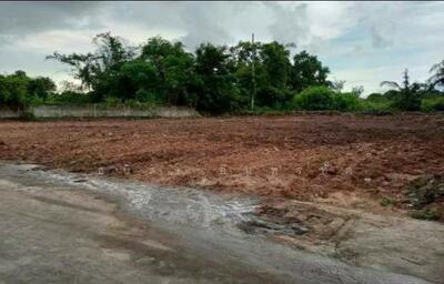 ขาย - ที่ดินเปล่า 236 ตร.ว. ใกล้ซอยหมอย้อย, ชลบุรี