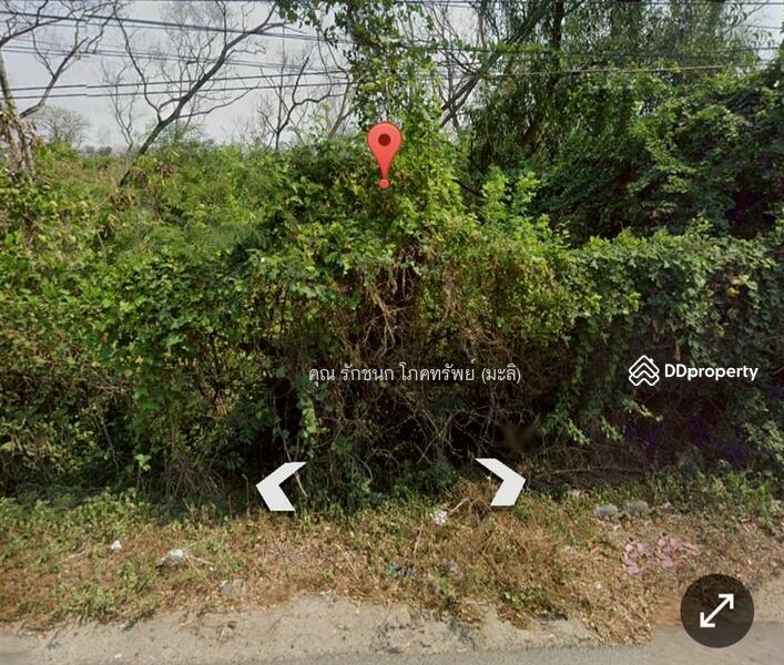 ขาย - ที่ดินเปล่า 331 ตร.ว. ที่ดิน ถนนปทุมธานี-บางเลน ใกล้วัดสุทธาวาส, ปทุมธานี