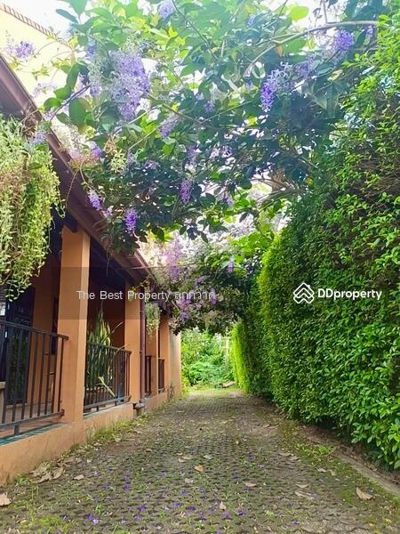 ขาย - บ้านเดี่ยวพร้อมกิจการบางสะพาน ประจวบคีรีขันธ์, ประจวบคีรีขันธ์