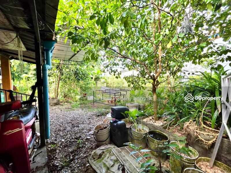 ขาย - บ้านเดี่ยวพร้อมกิจการบางสะพาน ประจวบคีรีขันธ์, ประจวบคีรีขันธ์