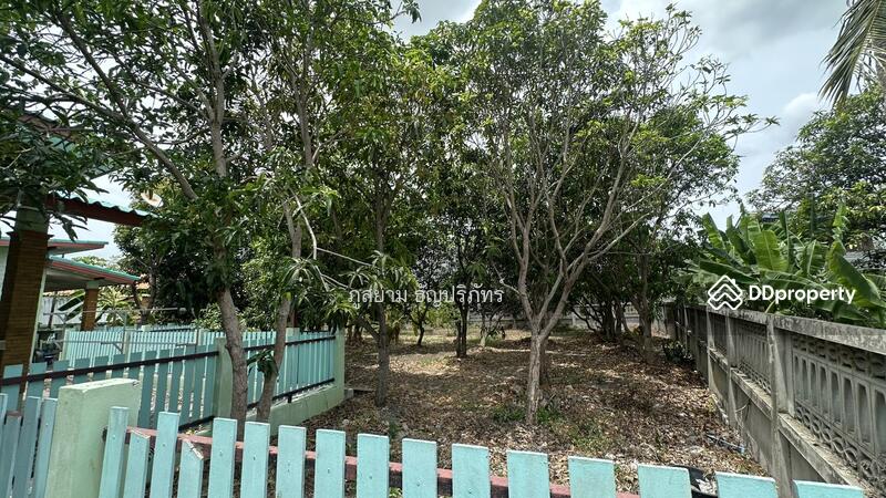 For Sale - Srisuripong, Phra Nakhon Si Ayutthaya