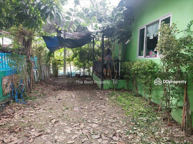 ขาย - บ้านเดี่ยวพร้อมที่ดินลำลูกกา ปทุมธานี, ปทุมธานี