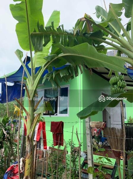 ขาย - บ้านเดี่ยวพร้อมที่ดินลำลูกกา ปทุมธานี, ปทุมธานี