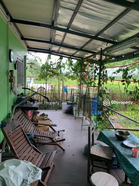 ขาย - บ้านเดี่ยวพร้อมที่ดินลำลูกกา ปทุมธานี, ปทุมธานี