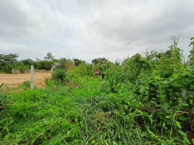 ขาย - ที่ดินวัดไทร นครสวรรค์, นครสวรรค์