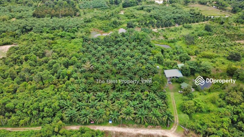 ขาย - ที่ดินเนินหอม ปราจีนบุรี, ปราจีนบุรี