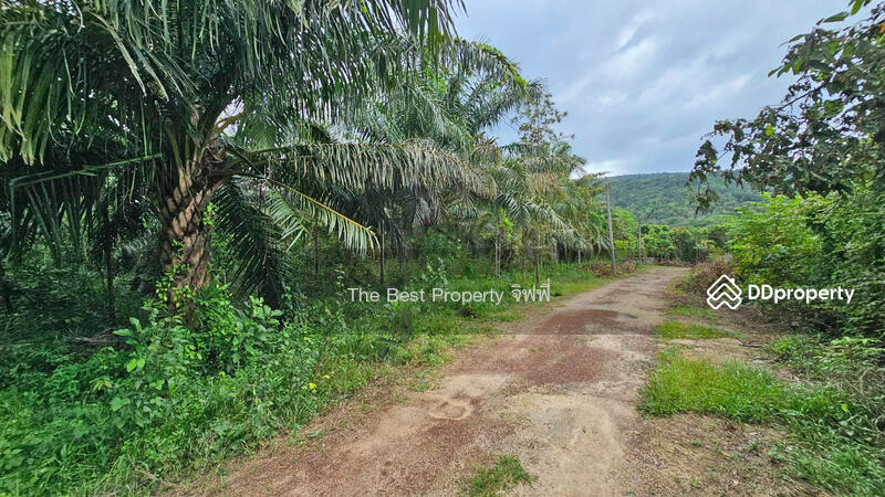 ขาย - ที่ดินเนินหอม ปราจีนบุรี, ปราจีนบุรี