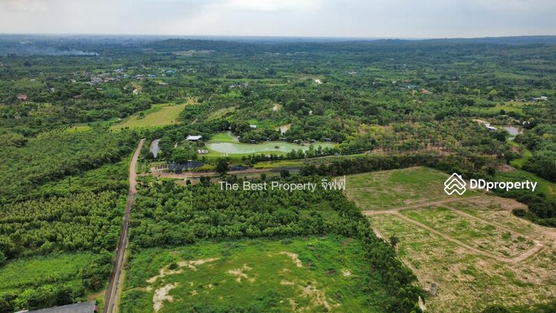 ขาย - ที่ดินเนินหอม ปราจีนบุรี, ปราจีนบุรี