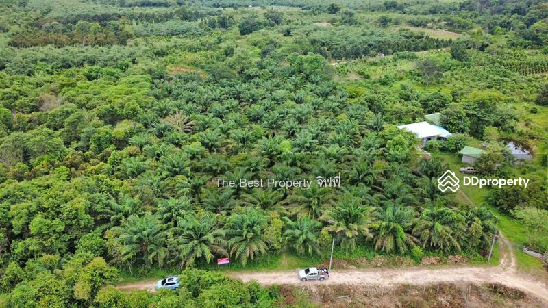 ขาย - ที่ดินเนินหอม ปราจีนบุรี, ปราจีนบุรี
