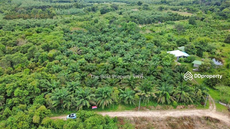 ขาย - ที่ดินเนินหอม ปราจีนบุรี, ปราจีนบุรี