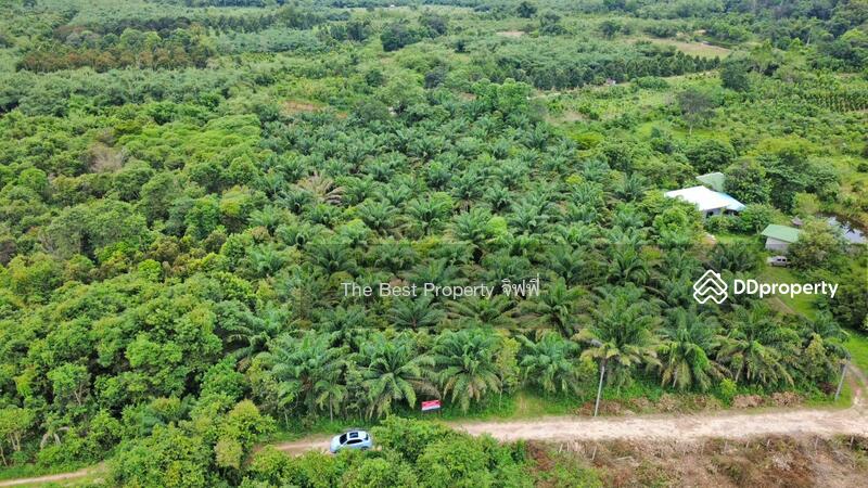 ขาย - ที่ดินเนินหอม ปราจีนบุรี, ปราจีนบุรี