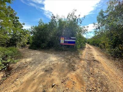 ขาย - ที่ดินเปล่าในสวนเกษตร อำเภอจอมทอง จังหวัดเชียงใหม่, เชียงใหม่