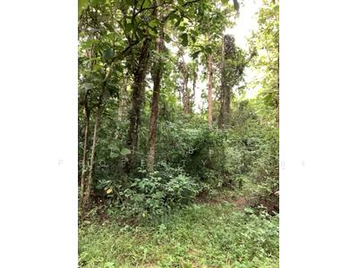 ขาย - ที่ดินท่าเสา อุตรดิตถ์, อุตรดิตถ์