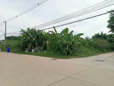 ขาย - ที่ดินอุทัยใหม่ อุทัยธานี, อุทัยธานี