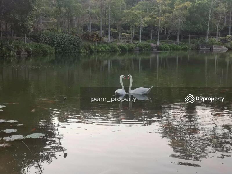 For Sale - Swan Lake Residences Khao Yai, Nakhon Ratchasima
