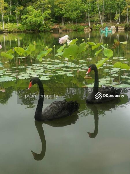 For Sale - Swan Lake Residences Khao Yai, Nakhon Ratchasima