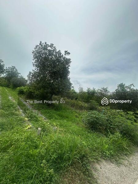 ขาย - ที่ดินจอมบึง ราชบุรี, ราชบุรี