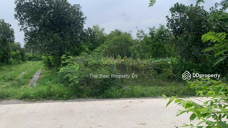 ขาย - ที่ดินจอมบึง ราชบุรี, ราชบุรี